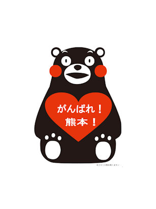 平成28年熊本地震　支援活動